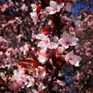 93. Neues und Verschollenes - Blick auf 20 Jahre Ausstellungen - Interview mit Inés Bartel